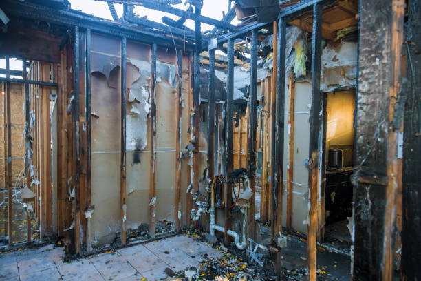 Professional Fire Damage Removal technician working in Clifton Gardens, NY